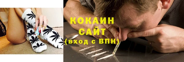 первитин Новозыбков