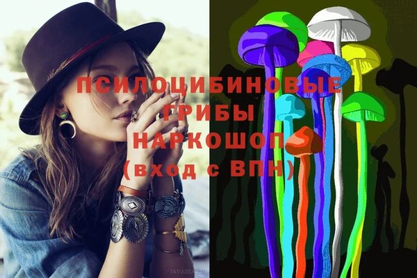 Альфа ПВП Новодвинск