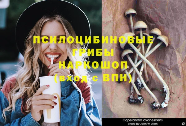 Альфа ПВП Новодвинск