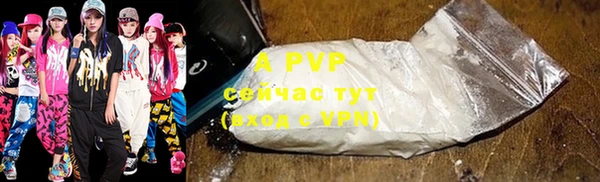 Альфа ПВП Новодвинск