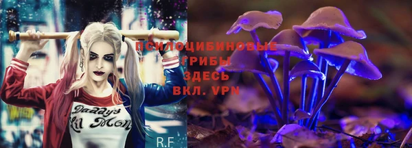 первитин Новозыбков
